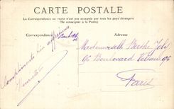 CPA Fantaisie Flore de Bretagne Chardons bleus