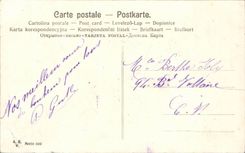 CPA Fantaisie Bonne annee Houx Trefle