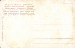 Leon del puente del EL el Nilo de CPA Egipto Egipto El Cairo El Cairo Kasre