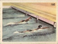 Image Sports the modern hive Sports Swimming