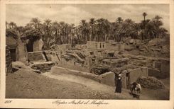 Afrique - Africa - Egypte - Egypt - CPA 