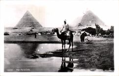 Africa - Africa - Egipto - Egipto - El Cairo - El Cairo - camello del camello de las pirAmides - CPA