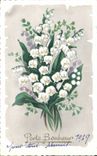 Fleurs Porte Bonheur - Muguet - Lily of the Valley - CPA 