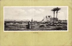 Afrique - Africa - Egypte - Egypt - CPA 