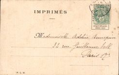 Fleurs papillon - butterfly - CPA 