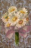 Fleurs daisy - CPA 