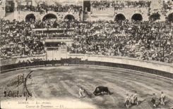 CPA Nimes Les Arenes Courses de Taureaux Corrida