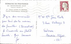 CPA Starts-up of Bamboos Variety Physslsssachys Pubescens Bamboo