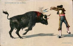 CPA Corrida Banderillas De Fuego