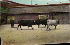 CPA Corrida Taureau El ancierro