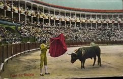 CPA Corrida Taureau Pase de Muleta