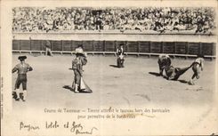 CPA Corrida Taureau Course de taureaux Torero attirant le taureau hors des barricadespour permettre de la banderiller