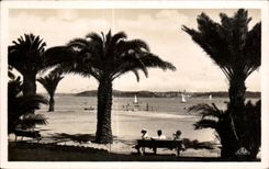 CPA Dinard Les Palmiers Au fond St Servan