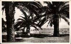 CPA Dinard La Palmeraie et St Malo