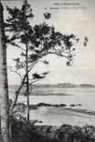 CPA Cote d Emeraede Dinard Vue prise de la Vicomte