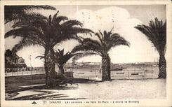 CPA Dinard Les palmiers au fond St Malo a droite le Brittany