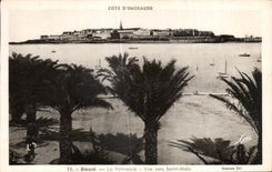 CPA Dinard La Palmeraie Vue vers Saint Malo