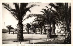 CPA Dinard Les Palmiers de la Promenade Clair de Lune
