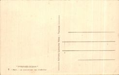 CPA the Pyrenees Pau Ocean the Boulevard Of the Pyrenees