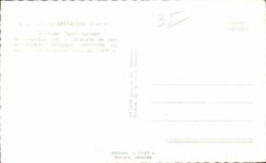 CPA Of Brittany Saint tomson Fraud