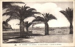 CPA Dinard Les palmiers au fond St Malo a droite le Brittany