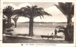 CPA Dinard Les Palmiers au fond St Servan