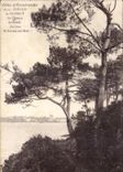 CPA Cote d Emeraude Dinard la Vicomie Le Chemin de Roude Au loin St Servan sur Mer