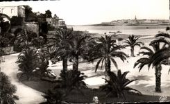 CPA Dinard La Palmeraie Au fond Saint Malo