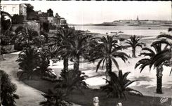 CPA Dinard La Palmeraie Au fond Saint Malo