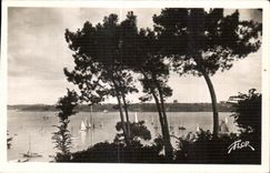 CPA Dinard La Baie du Prieure vue a travers les pins