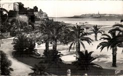 CPA Dinard La Palmeraie Au fond Saint Malo