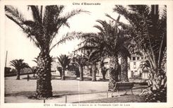 CPA Dinard Les Palmiera de la Promenade Clair de Lune