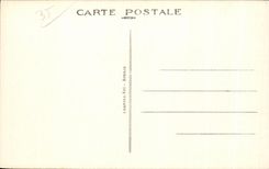 CPA Dinard Les Palmiera de la Promenade Clair de Lune