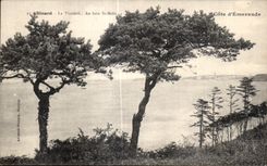 CPA Dinard La Vicomte Au loin St Malo