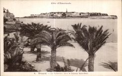 CPA Dinard La Palmeraie dans le lointain Saint Malo