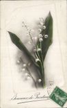 CPA Fantaisie Fleurs Souvenir de Printemps Muguet