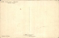 CPA Fantaisie Fleurs Carlina acaulis Silberdistel Chardon d argent