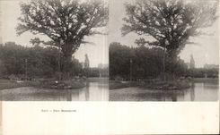 Carte Stereoscopique - Pau - Parc Beaumont - CPA 