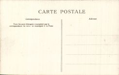Carte Stereoscopique - Pau - Le Chateau - CPA