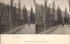 Carte Stereoscopique - Avenue de Luz - CPA 