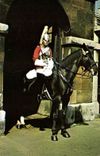 CPSM Mounted sentry horse guards parade London Cheval Horse Militaria 