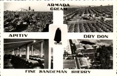 CPSM Aramada Cream Apitiv Dry Gift Fine Sandeman Sherry Vineyard Wine Alcohol