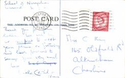 Caballo del caballo de los caballos de CPA