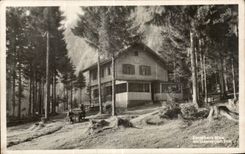 CPA the Tirol Ehngihrus amndt St the Tirol