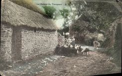 CPA Le Retour du Troupeau Moutons 