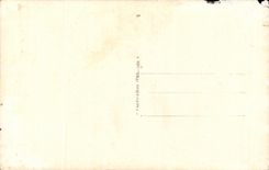 CPA Fantaisie Fleurs Langage des Fleurs