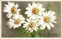 CPA Fantasy Happy Flowers Birthday