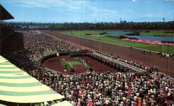 CPA Hollywood Park Racetrack Cheval Horse Hippisme 