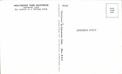 CPA Hollywood Park Racetrack Cheval Horse Hippisme