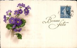 Flores de la fantasia de CPA